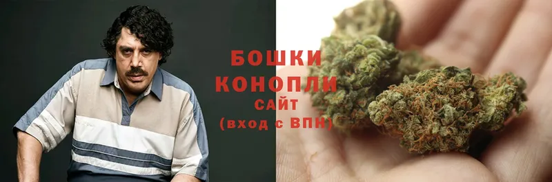 Бошки марихуана Bruce Banner  Апрелевка 